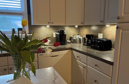 Villas House | Mermaid Manor, more charming than ever! Dog friendly, short walk to the bay!