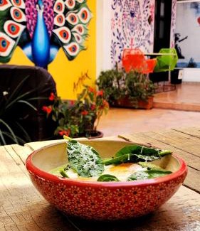 Colonia Guadalupe Hotel | MESON AMELIA