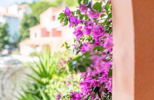 Cerbere Apartment | Meu Delit
