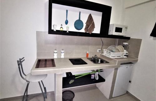 Monterrey Municipality Apartment | Mi Depa Tec 25