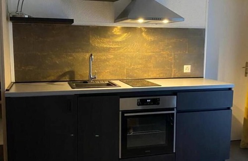 Basel City Centre Apartment | Micro Hotel Basel