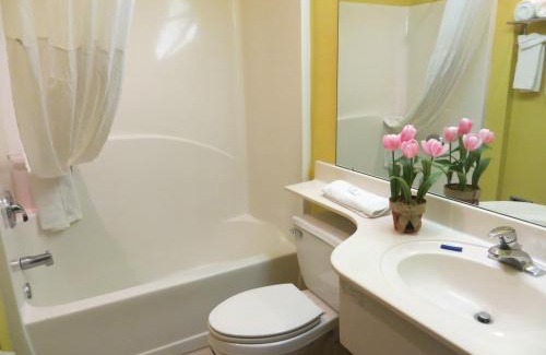Stockbridge Hotel | Microtel Inn & Suites by Wyndham Stockbridge/Atlanta I-75