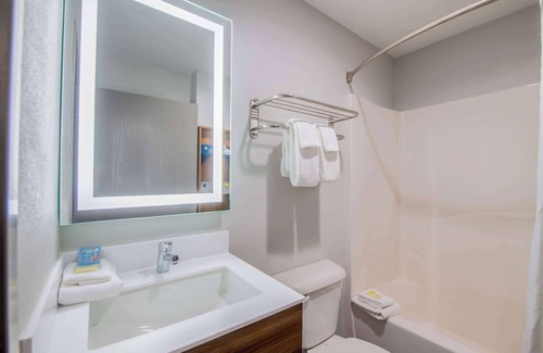 Anderson Hotel | Microtel Inn & Suites by Wyndham Anderson/Clemson