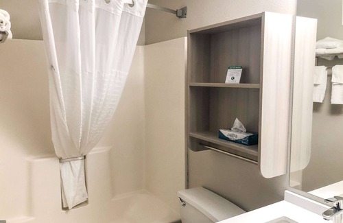 Eagan Hotel | Microtel Inn & Suites by Wyndham Eagan/St Paul