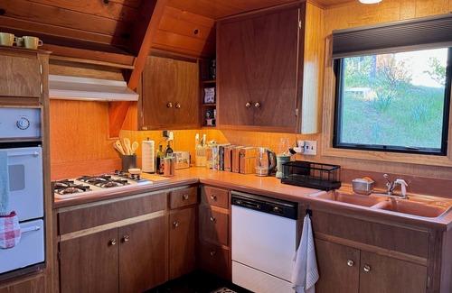 Running Springs Apartment | Mid-century Modern A-frame Time Capsule