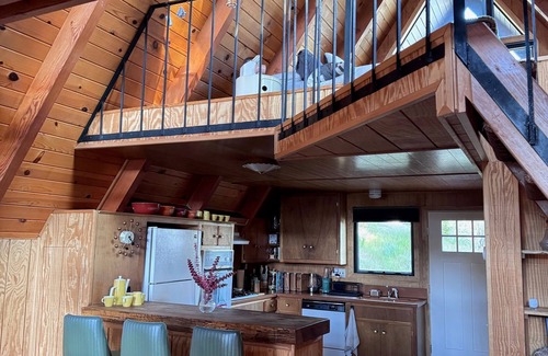 Running Springs Apartment | Mid-century Modern A-frame Time Capsule
