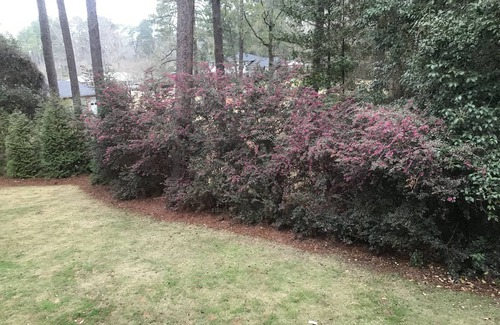 Aiken House | Mid century ranch located in quiet Aiken Estates