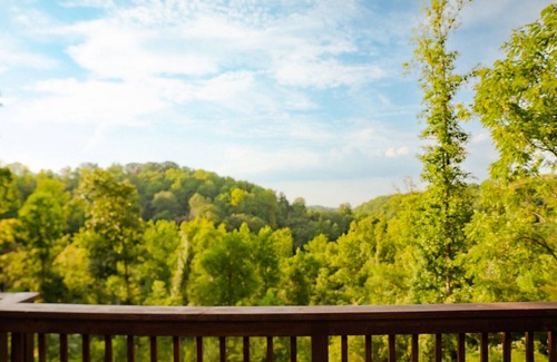 Pegram Cabin | Midcentury Modern View Cabin Near Nashville