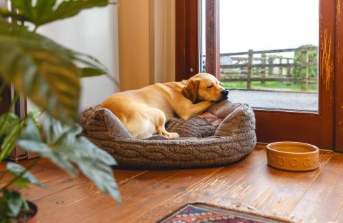 Glastonbury Resort | Middlewick Holiday Cottages