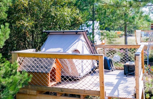 Steenodde RV Rental | Mietwohnwagen - Dünencamping Amrum