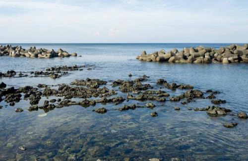 Oshima House | Mihamakan, Izu Oshima - Vacation STAY 89849v