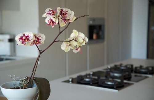 Mijas Ski Chalet | Mijas Villa La Filomena
