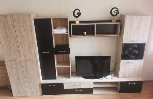 Miercurea-Ciuc Apartment | Milan's Apartment