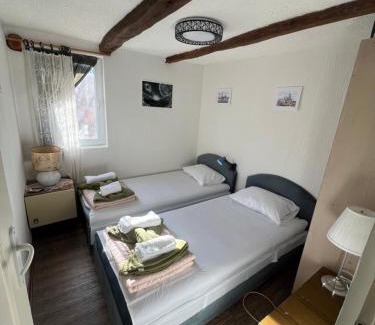 Central Serbia Apartment | Milić apartmani 1