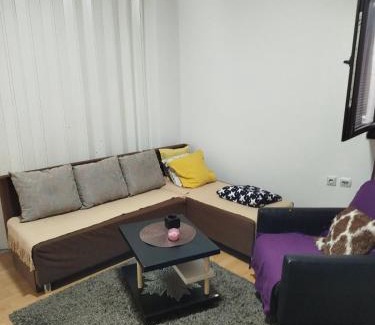 Jagodina Apartment | Milić