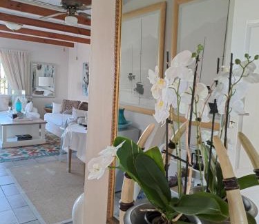 Sandbaai House | Milky Way Executive Suite