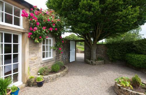 Skipton House | Mill Race at Broughton Sanctuary