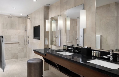 Near North Side Hotel | Millennium Knickerbocker Chicago