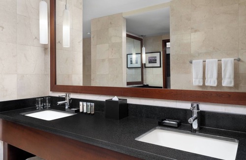 Near North Side Hotel | Millennium Knickerbocker Chicago