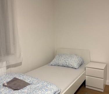 Mainz-Bingen House | MillimetergenauApt