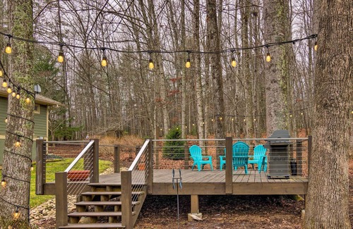 Mills River Apartment | Mills River Retreat Near Hiking & Breweries!