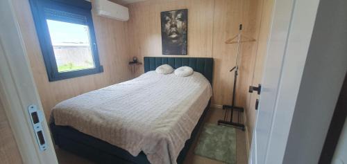 Cefa House | Mimosa forest view house near Oradea- pet friendly free parking