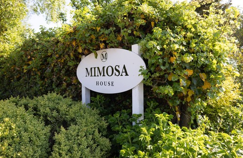 Westerland Apartment | Mimosa House