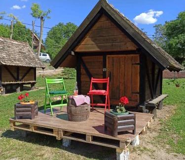 South Backa District Other | Mini-Camp SKELICA