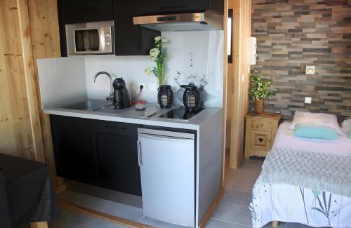Saint-Jean-Saint-Nicolas Ski Chalet | Mini Chalet Ananda