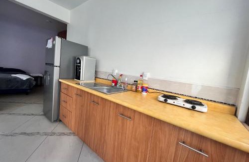 Zona Rosa Apartment | Mini loft en reforma
