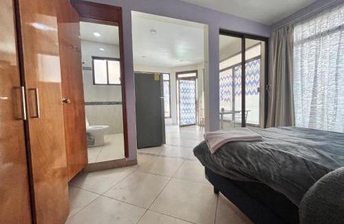Zona Rosa Apartment | Mini loft en reforma