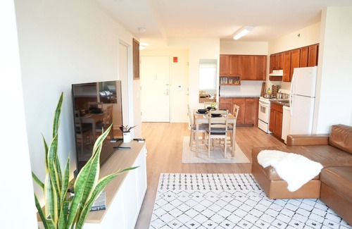 West Bronx Condo | Minimalist Mid Century Modern