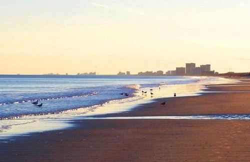 Crescent Beach Apartment | Mint Mermaid/walk 2 beach/pets ok/Golf Cart option