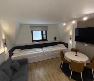 Kopaonik Apartment | Mint2