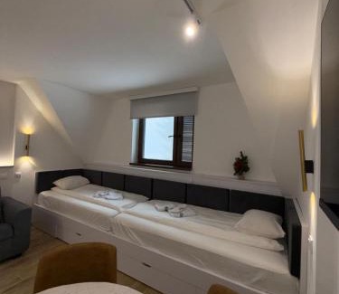 Kopaonik Apartment | Mint2
