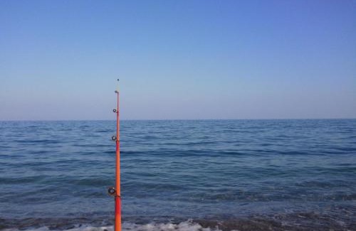 Kemer Apartment | Minta Apart Hotel