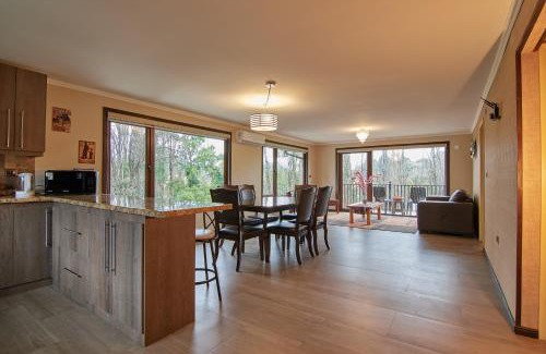 Osorno Apartment | mirabosque new aparments 2