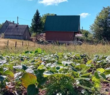 Zabljak House | Miracle garden