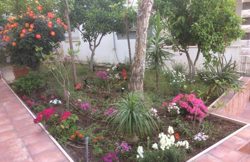 Nazareth House | Miriam Short Term Rental