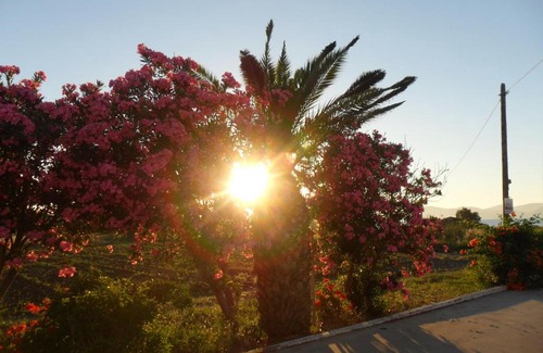 Tingaki Apartment | Miros Hotel Apartments