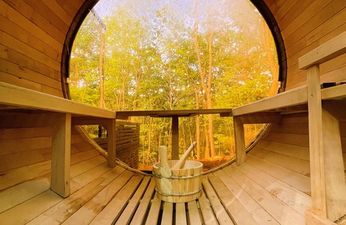 Clarkesville House | Mirror Häus in mountains! Ice bath, sauna, cedar tub, & large outdoor living.