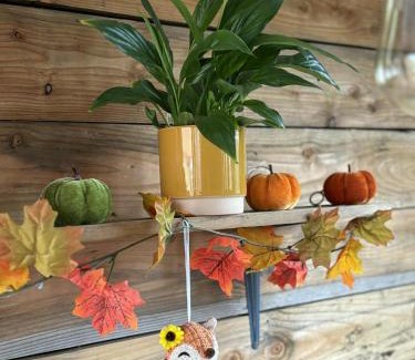 St. Martin Apartment | Miss Francis Horse Wagon