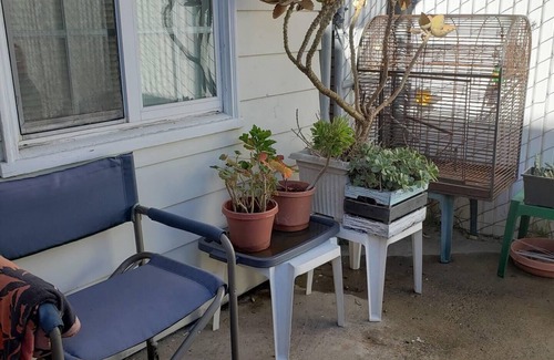 Mission Beach Cottage | Mission Beach Cottage available for 30 + night rentals.