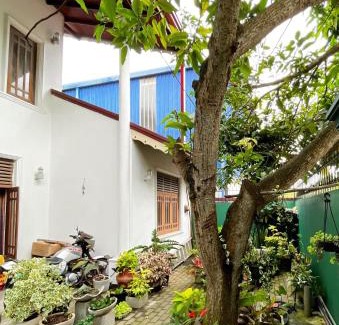 Dalupotha House | Misty Tours & Stay