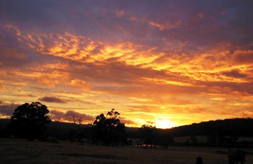 Scotsdale House | Misty Valley Country Cottages