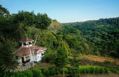 Udumbanchola Bed & Breakfast | Misty Valley Hospitality,Munnar