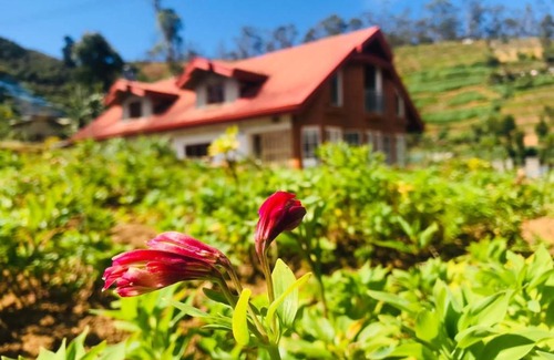 Nuwara Eliya House | Misty Wood Cottage