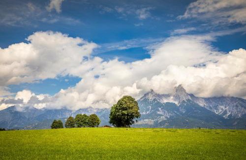 Saalfelden am Steinernen Meer Apartment | Mitterschützinghof