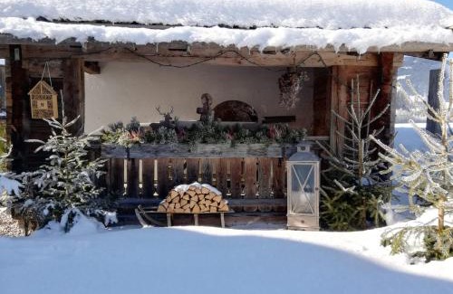 Saalfelden am Steinernen Meer Apartment | Mitterschützinghof