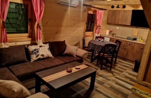 Mitrovac Apartment | Mitrovacka Zora